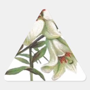 flowers vintage spring blossoms white lily triangle sticker