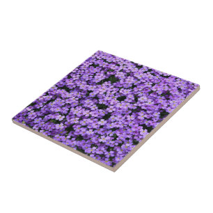 Flowers - Violets - Beautiful Ceramic Tile