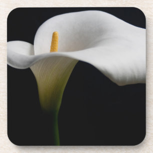 Flowers White Calla Lily Coaster