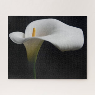 Flowers White Calla Lily Jigsaw Puzzle