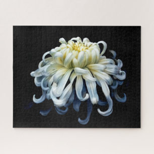 Flowers   White Chrysanthemum Jigsaw Puzzle