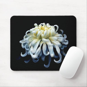 Flowers White Chrysanthemum Mouse Pad