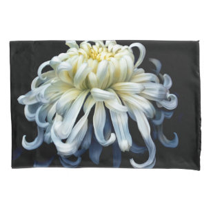 Flowers   White Chrysanthemum Pillowcase