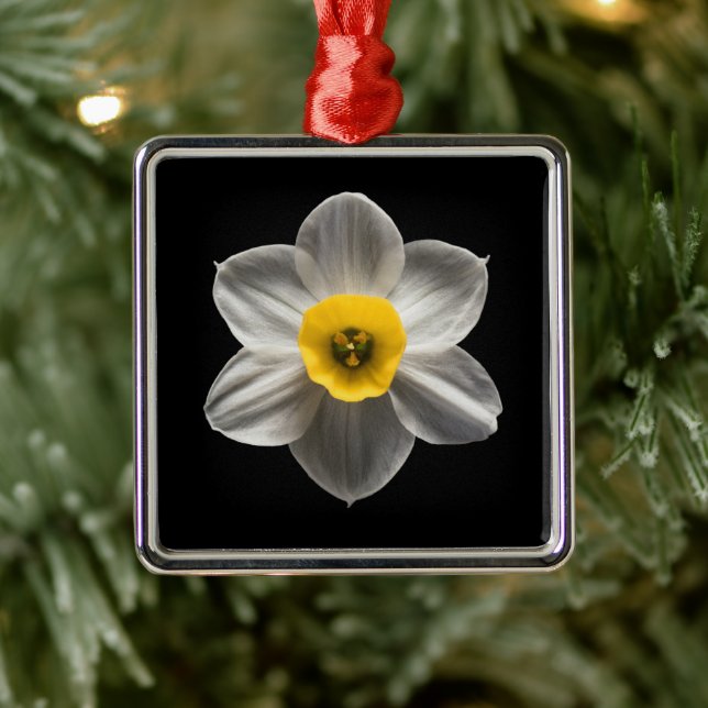 Flowers | White Daffodil Flower Metal Ornament (Tree)