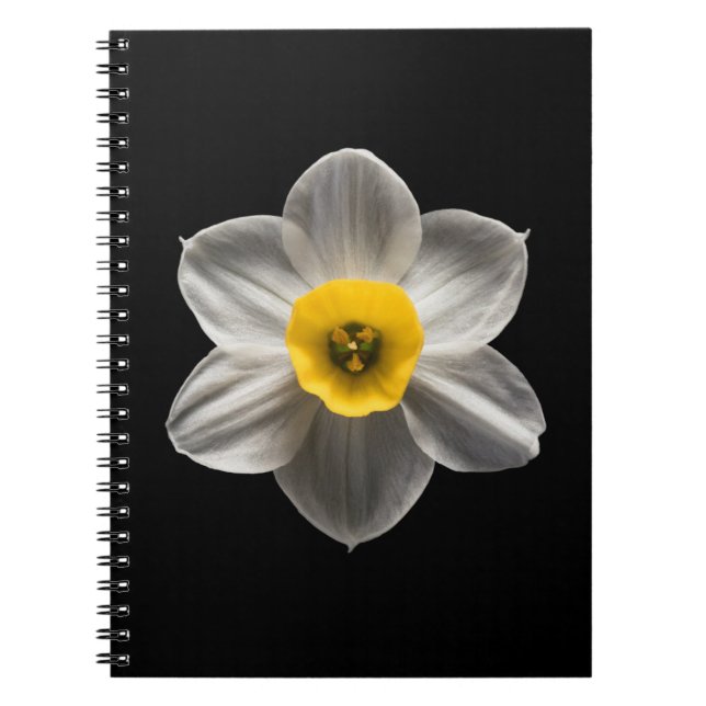 Flowers | White Daffodil Flower Notebook (Front)