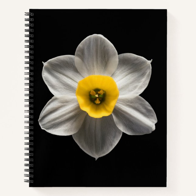 Flowers | White Daffodil Flower Notebook (Front)
