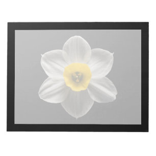 Flowers   White Daffodil Flower Notepad