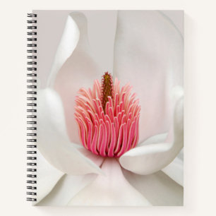 Flowers White Magnolia Notebook
