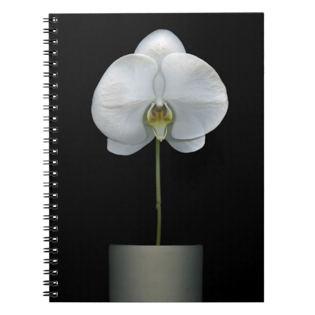 Flowers | White Orchid Flower Notebook (Front)