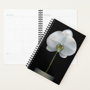 Flowers White Orchid Flower Planner