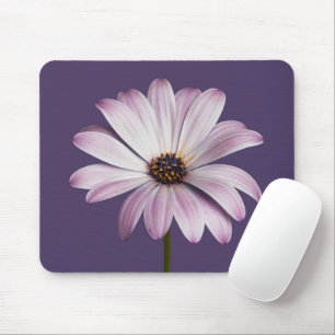 Flowers   White & Purple Daisy Mouse Pad