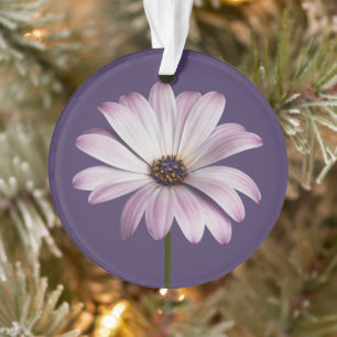 Flowers White & Purple Daisy Ornament