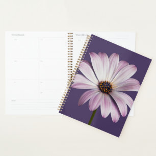 Flowers White & Purple Daisy Planner
