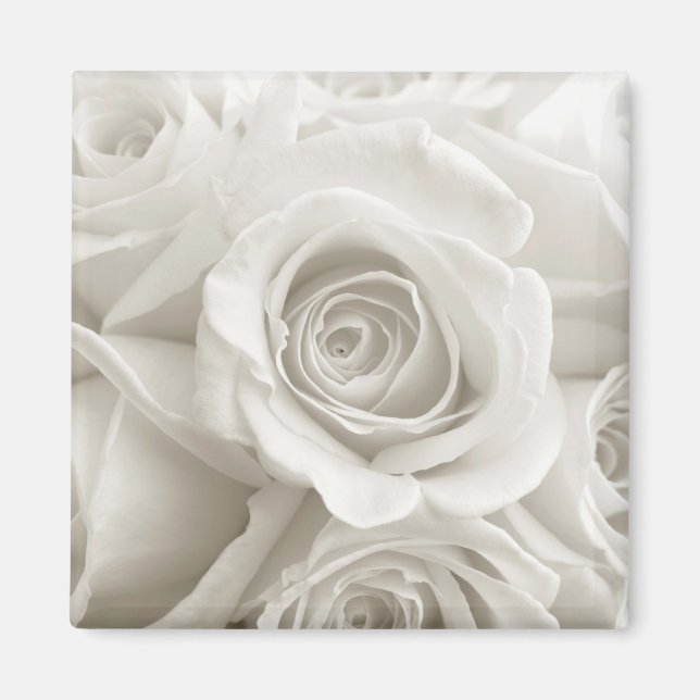 Flowers | White Roses Magnet (Front)