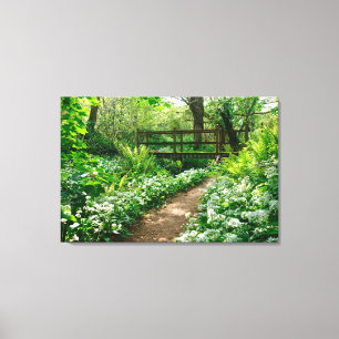 Flowers   White Wildflowers in Forest Canvas Print