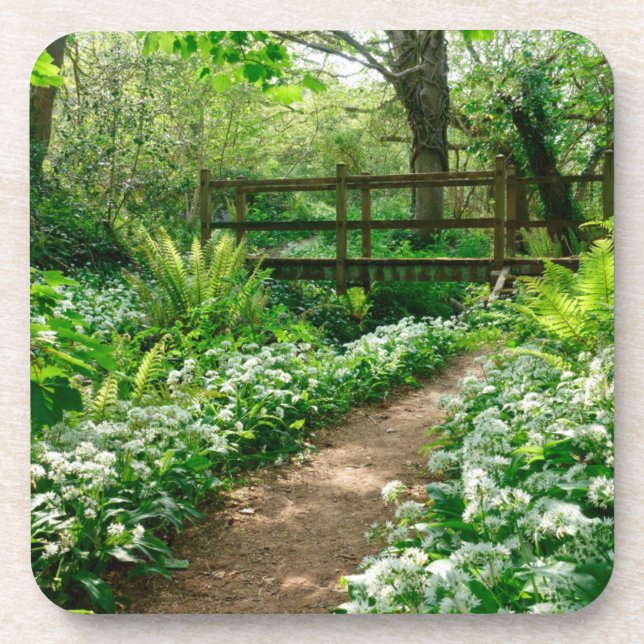 Flowers | White Wildflowers in Forest Coaster (Front)