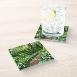 Flowers   White Wildflowers in Forest Glass Coaster