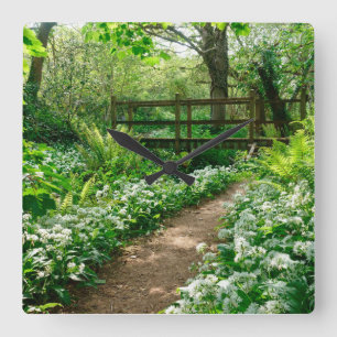 Flowers   White Wildflowers in Forest Square Wall Clock