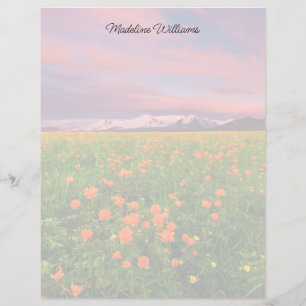 Flowers Wildflower Field Snowcapped Mountains