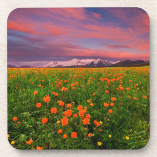 Flowers Wildflower Field Snowcapped Mountains Coaster