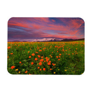 Flowers Wildflower Field Snowcapped Mountains Magnet