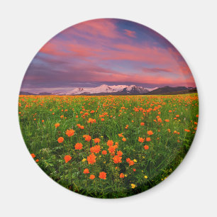 Flowers   Wildflower Field Snowcapped Mountains Magnet