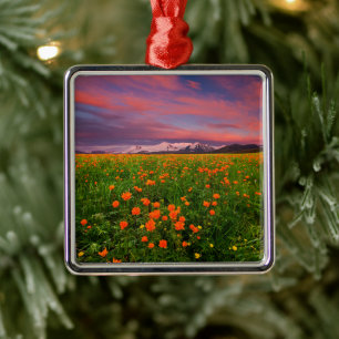 Flowers Wildflower Field Snowcapped Mountains Metal Ornament