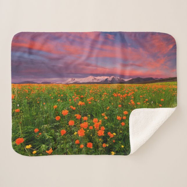 Flowers | Wildflower Field Snowcapped Mountains Sherpa Blanket (Front (Horizontal))
