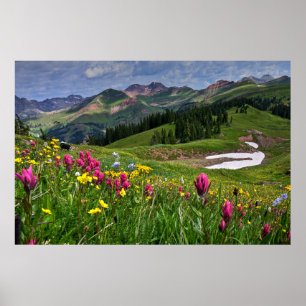 Flowers Wildflowers Durango, Colorado Poster