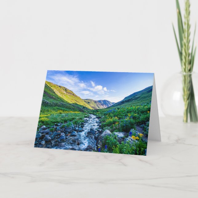 Flowers | Wildflowers in Colorado Card (Front)