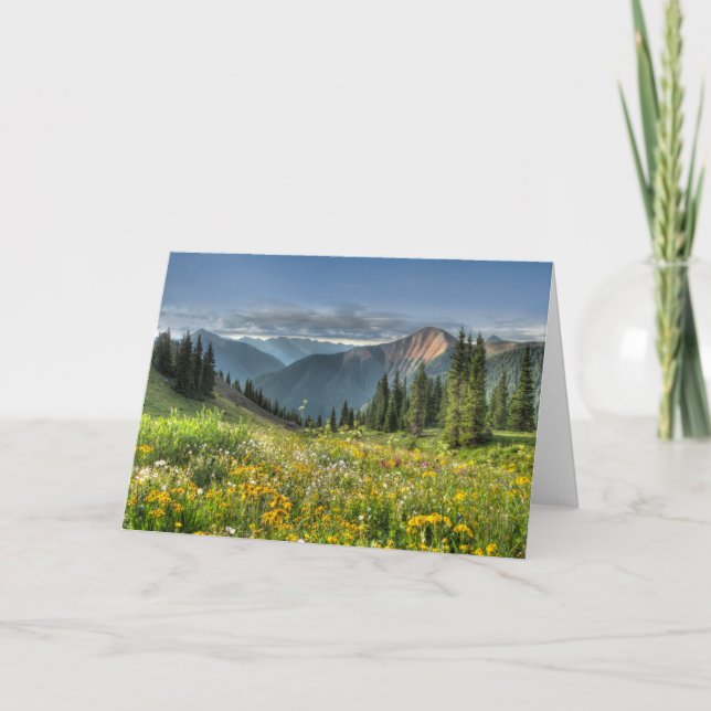 Flowers | Wildflowers Silverton Colorado Card (Front)