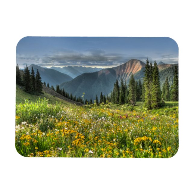 Flowers | Wildflowers Silverton Colorado Magnet (Horizontal)
