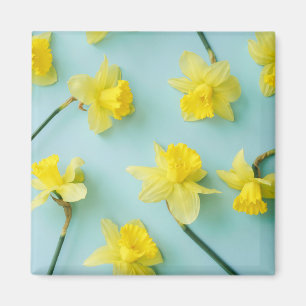 Flowers   Yellow Daffodils Magnet