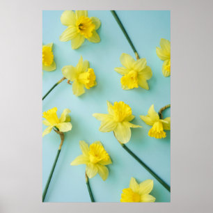 Flowers   Yellow Daffodils Poster