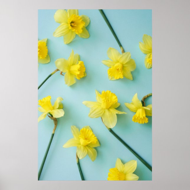 Flowers | Yellow Daffodils Poster (Front)