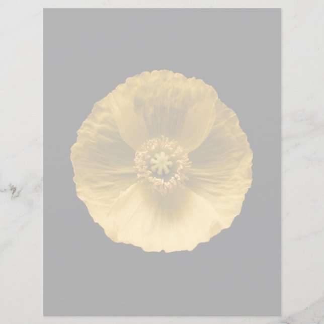 Flowers | Yellow Poppy (Front)