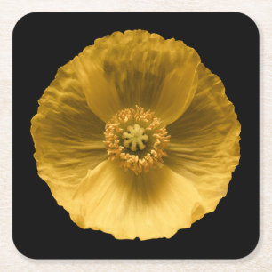 Flowers   Yellow Poppy Square Paper Coaster