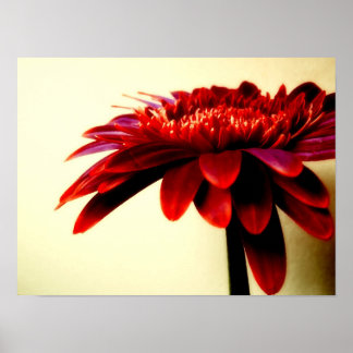 FLOWERSERIES-007 POSTER