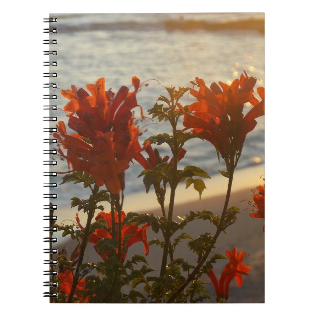 Flowery Beach Sunset Notebook (Front)