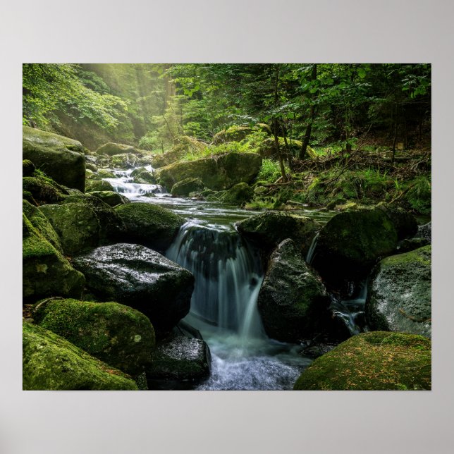 Flowing Creek, Green Mossy Rocks, Forest Nature Poster (Front)