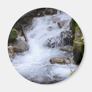 Flowing Forest Stream with Mossy Rocks Magnet