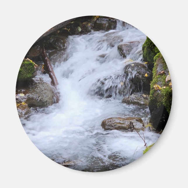 Flowing Forest Stream with Mossy Rocks Magnet (Front)