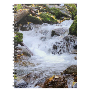 Flowing Forest Stream with Mossy Rocks Notebook