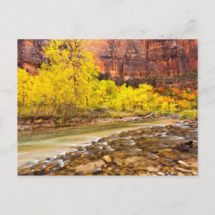Flowing Into Autumn Postcard