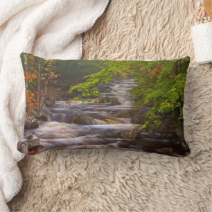 Flowing Streams Along the Appalachian Trail Lumbar Cushion