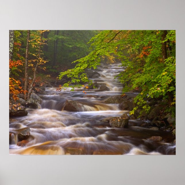 Flowing Streams Along the Appalachian Trail Poster (Front)