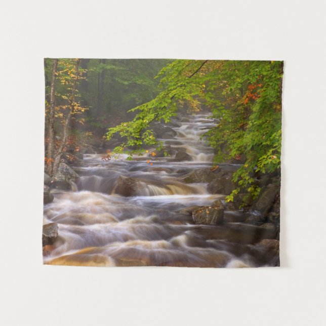 Flowing Streams Along the Appalachian Trail Tapestry (Front (Horizontal))