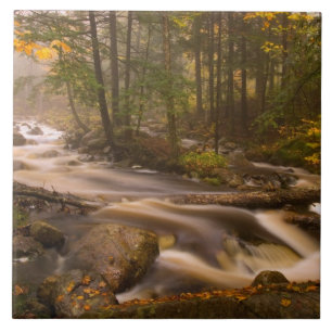Flowing Streams Appalachian Trail Vermont Ceramic Tile