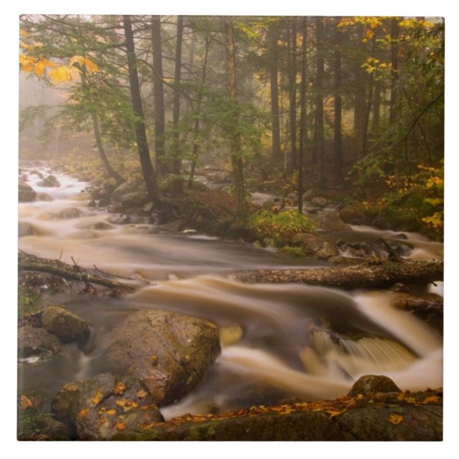 Flowing Streams Appalachian Trail | Vermont Ceramic Tile (Front)
