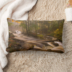 Flowing Streams Appalachian Trail Vermont Lumbar Cushion
